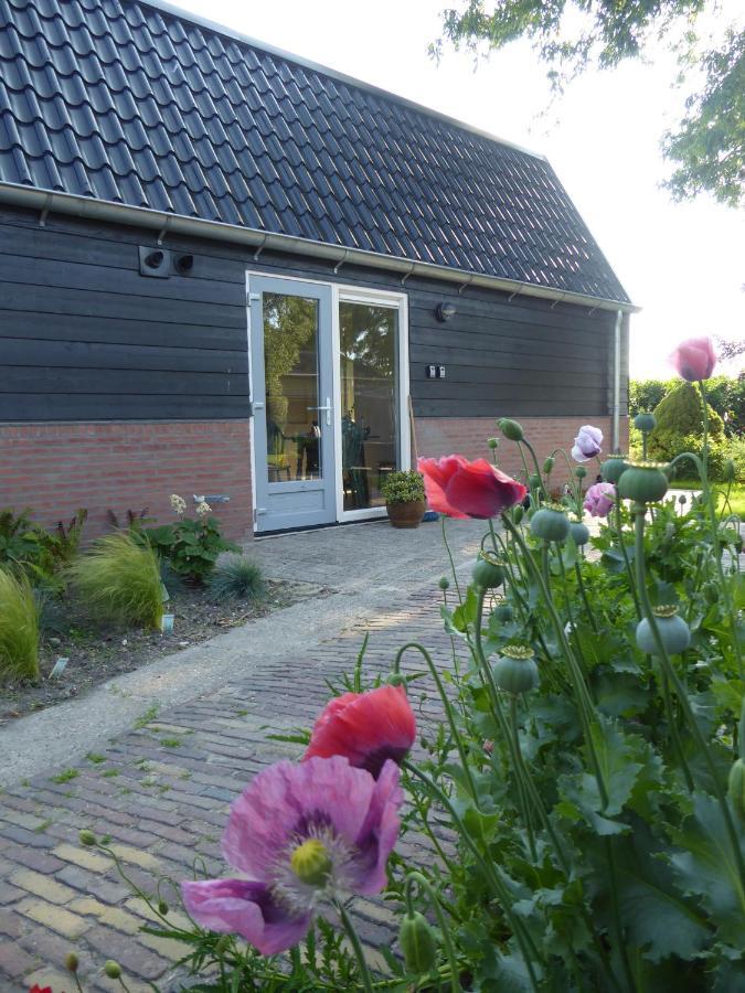 Beemster Oase Bed & Breakfast